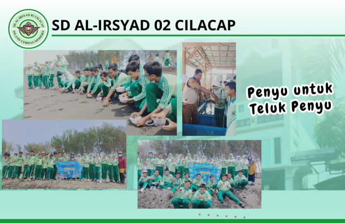 Penyu untuk Teluk Penyu